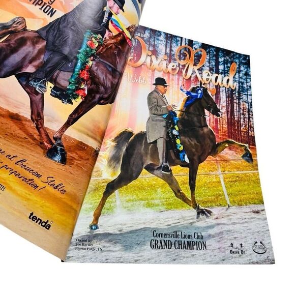 The Walking Horse Report -July 24 , 2023 CORNERSVILLE LIONS CLUB Grand Champ - Picture 4 of 7